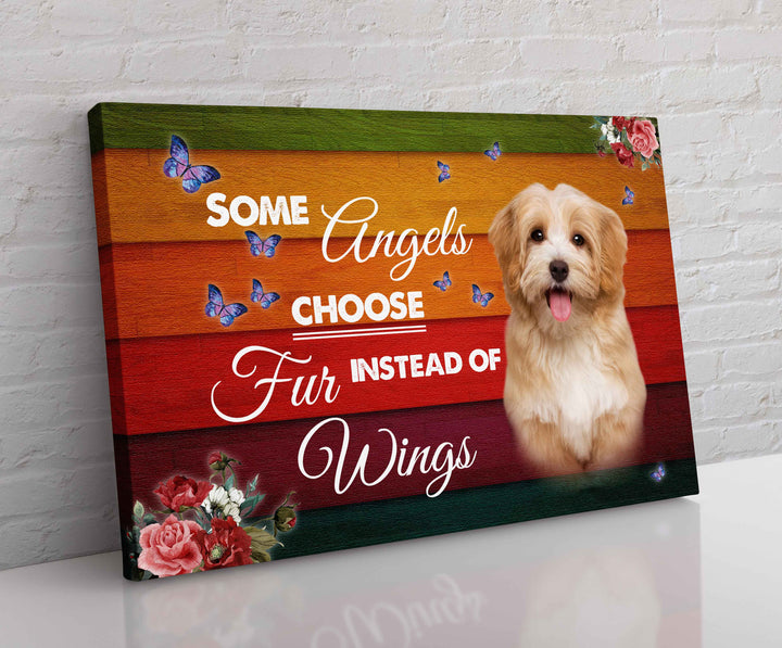 Furry Angels - Customize The Photo - Touch Of Divine