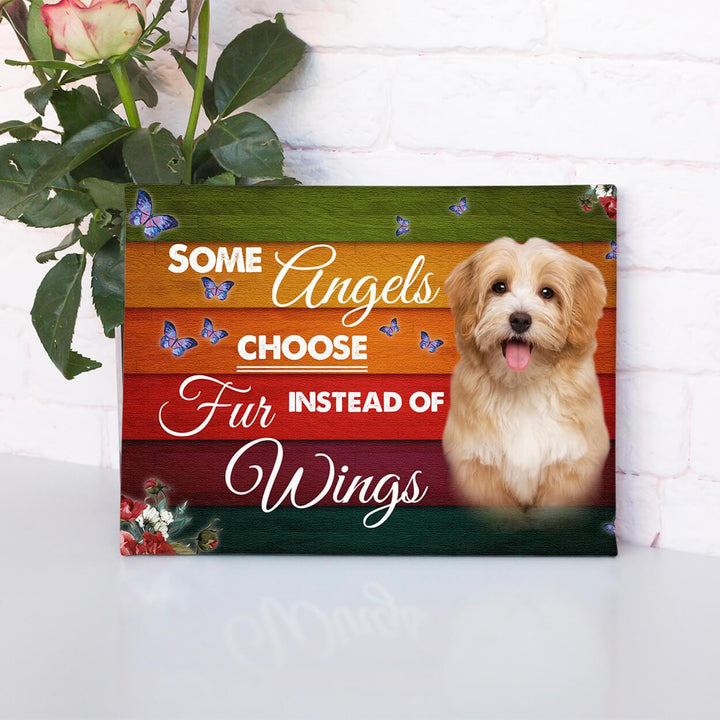 Furry Angels - Customize The Photo - Touch Of Divine